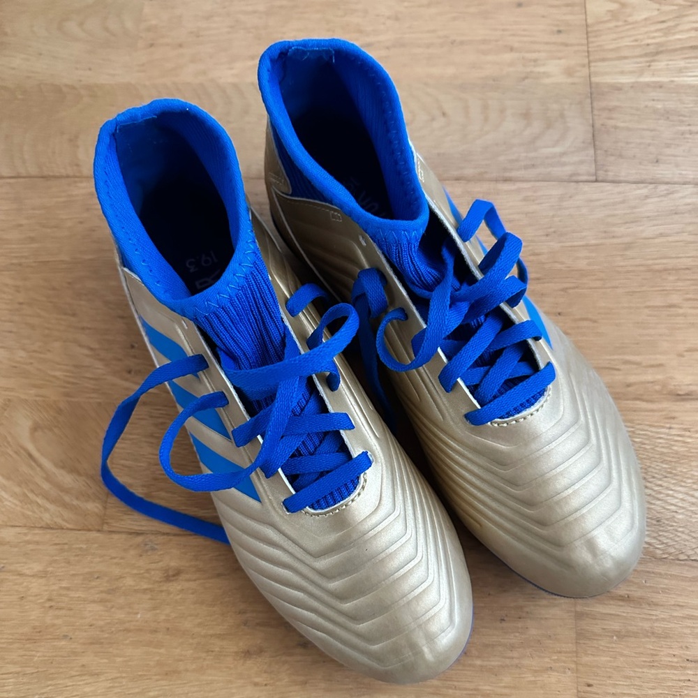 Adidas Predator 19.3 FG soccer cleats